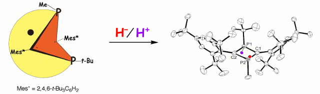 Modeling the Direct Activation of Dihydrogen by a P2C2-Cyclic Biradical